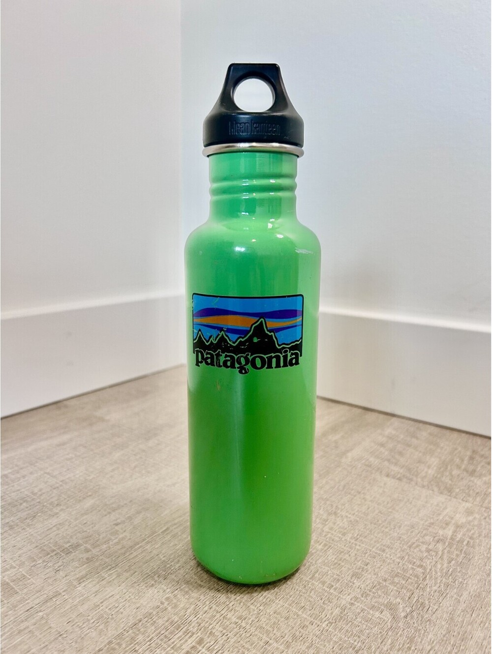 Patagonia Green 23oz Stainless Steel Water Bottle BPA Free